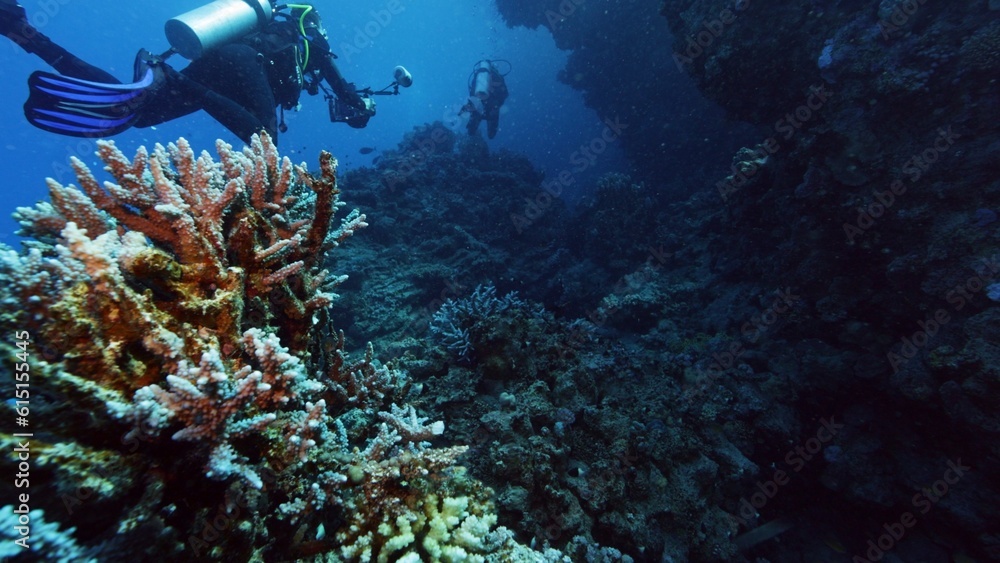 Foto One divers exploring sea bottom.