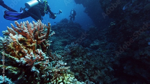 Foto One divers exploring sea bottom.