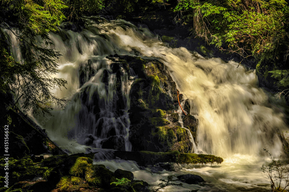 Obraz premium waterfall in the forest