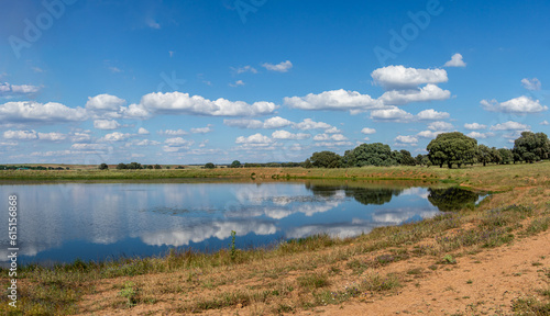 Fototapeta Naklejka Na Ścianę i Meble -  Pond of water so that it drinks the cattle in the dehesas of Salamanca, Spain