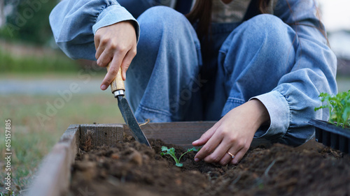 Young woman using trowel to growing vegetable seedling into soil on vegetable plot in front of home