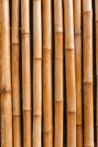 Fototapeta Naklejka Na Ścianę i Meble -  Natural bamboo wall close-up