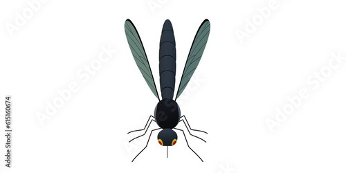 Mosquito isolated on a Transparent Background