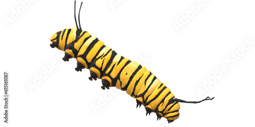 Caterpillar isolated on a Transparent Background