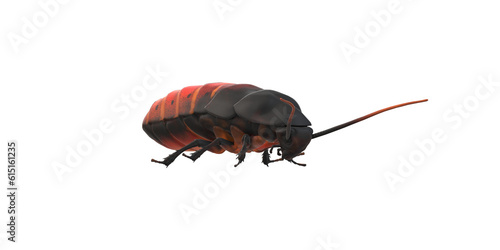 Cockroach isolated on a Transparent Background