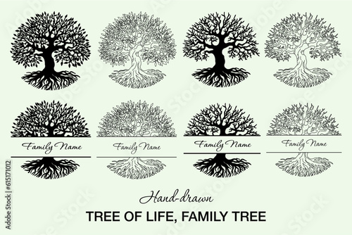 Quadro su tela Tree of Life Vector Set, Hand-drawn Ancient Tree Clipart, Family Name Split Tree