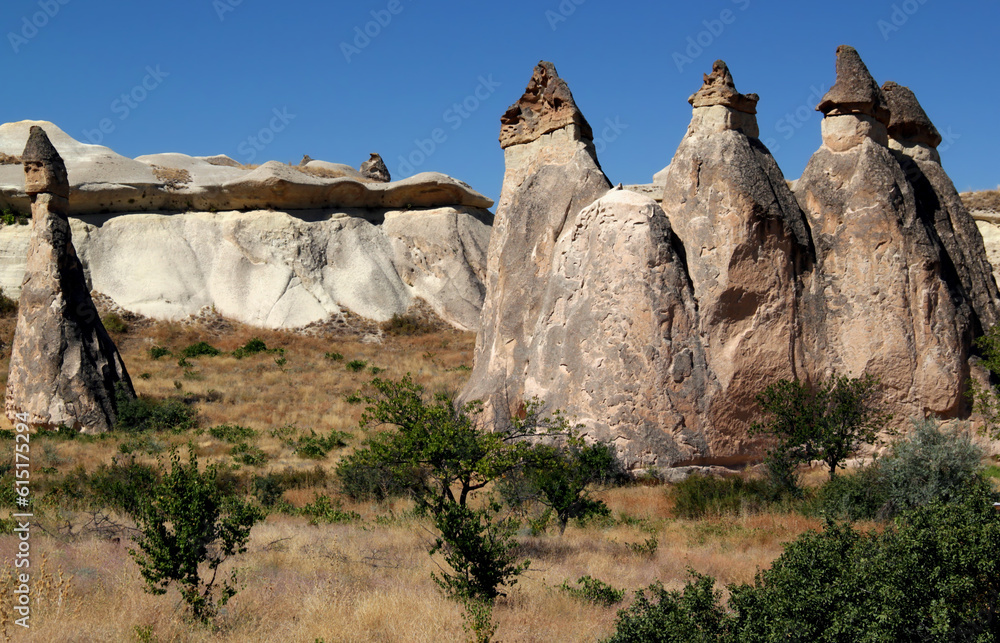 Landscape with cone-shaped mushroom mountains (also called fairy chimneys) in the Pasabag Valley, near the town of Goreme, in Cappadocia, Turkey