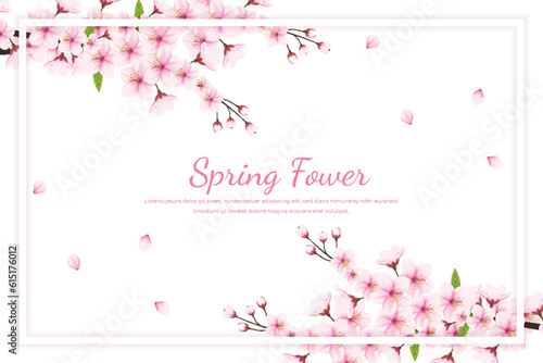 Cherry blossom background with white frame for text. Vector illustration.Realistic blooming cherry flowers and petals 