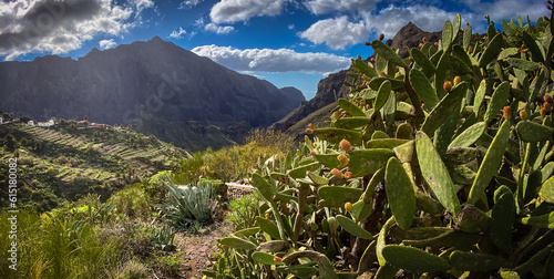 Masca valley, Tenerife, Spain - High  Repolution Panoramic Image photo