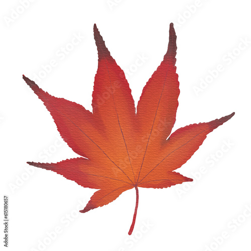Watercolor Japanese Maple Leaf in Autumn