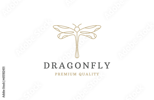 Luxury dragonfly with line art style logo icon design template flat vector