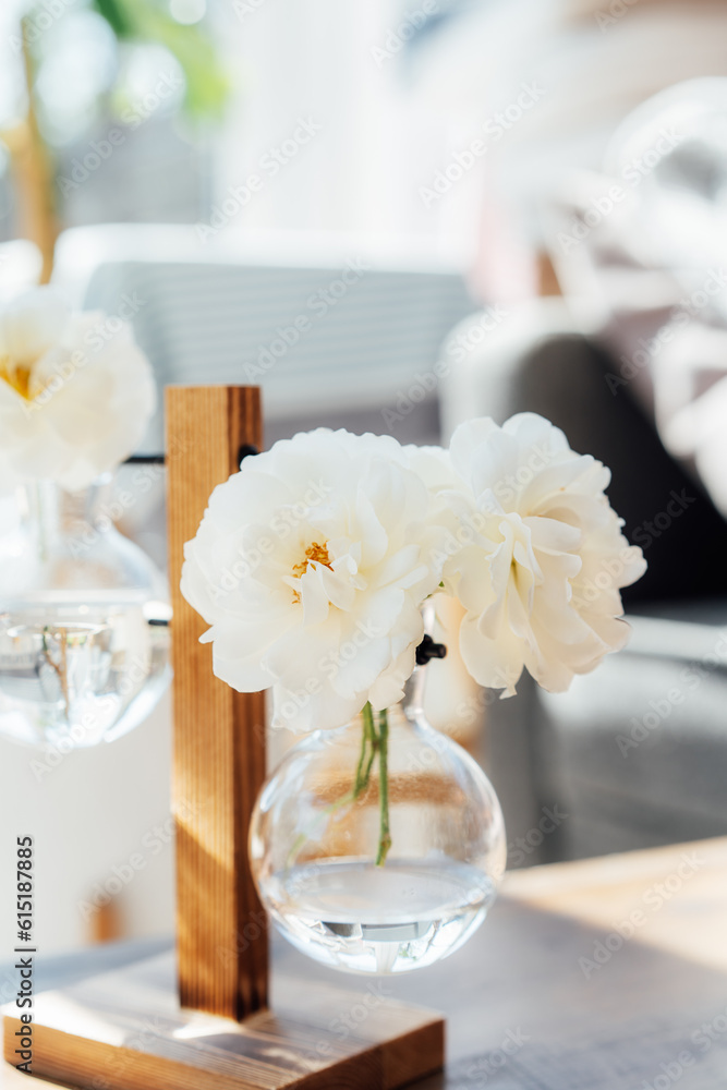 Close up White rose flowers in small transparent glass hanging vases on wooden stand on the coffee table with sunny home interior background. Modern home decor in shape of test tubes. Selective focus.