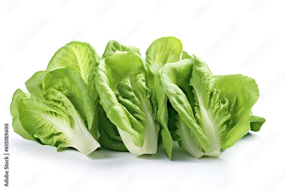 Collection of fresh lettuce leaves framed over white background Collection of fresh lettuce leaves framed over white background