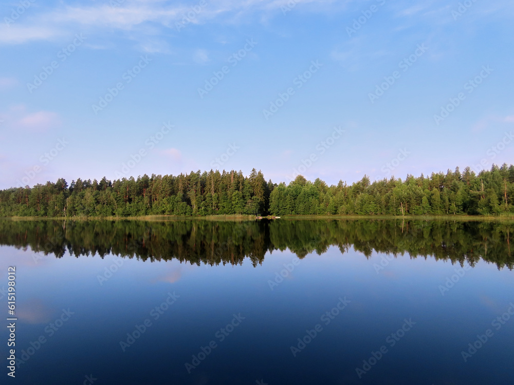 lake in the forest lake in the forest