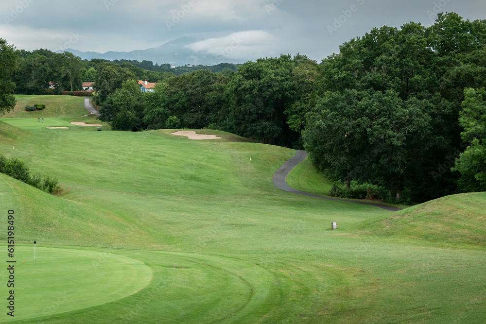 Verde campo relvado de golfe com algumas árvores ao fundo num dia muito nublado