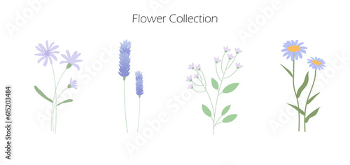 Purple color wildflowers vector hand drawn illustration set, floral collection, botanical for decoration. Isolated.