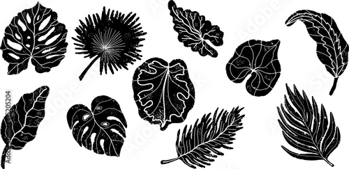 tropical leaves. Exotic set of palm tropical leaves, black silhouettes in linocut style, carved details. Elements for design. Vector big collection