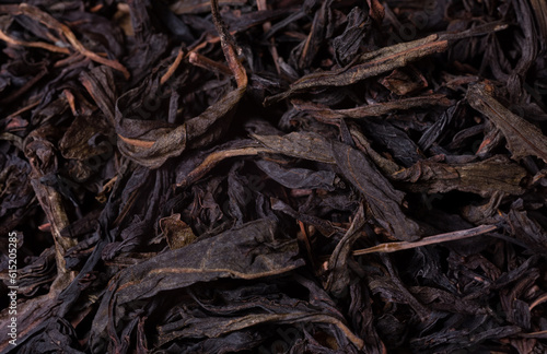Dan Tsung Oolong. Chinese tea. Tea tree leaves close-up.