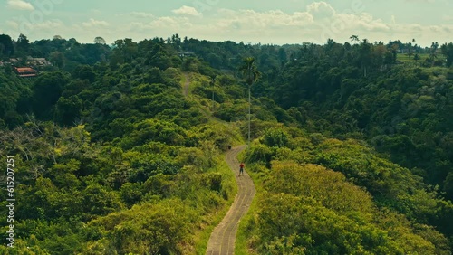 Campuhan Ridge Walk is beautiful travel destination in Ubud with scenery walking trail surrounded picturesque hills overgrown with tropical rainforest and rice terraces Bali, Indonesia 4K Aerial view photo