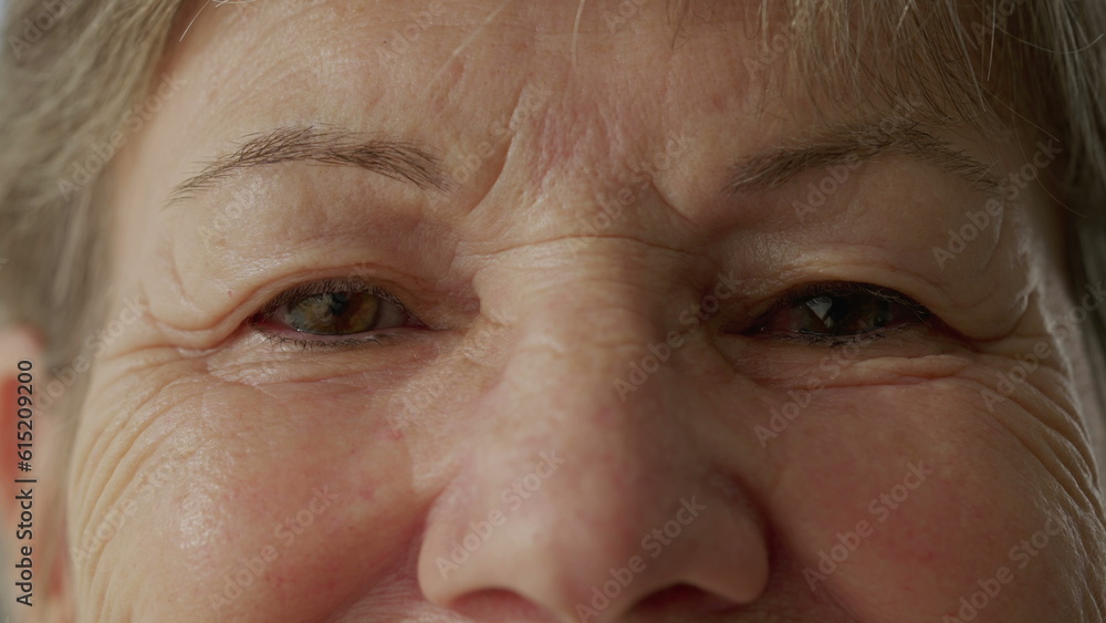 Macro Close-Up of Serene Senior Woman_s Eyes_ Looking Directly at Camera. Extreme Close-Up of Older Female with a Calm Expression Macro Close-Up of Serene Senior Woman_s Eyes_ Looking Directly at Camera. Extreme Close-Up of Older Female with a Calm Expression