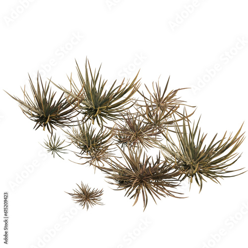 Grass isolated on white. 3D illustration