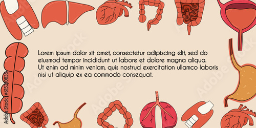 Medical template with human internal organs. Gallbladder, lung, heart, stomach, intestines, liver, thyroid, bladder. Vector illustration.