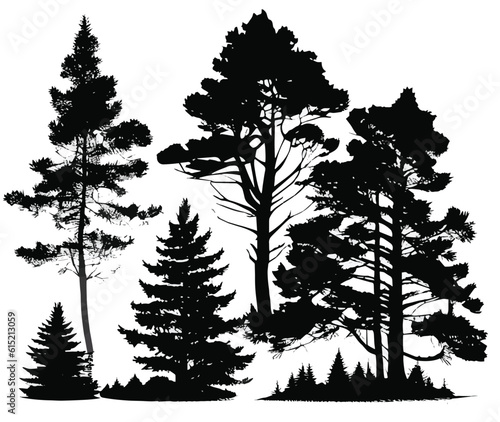 Vector illustration. Forest silhouette. Trees  pine trees  Christmas trees. On white background.