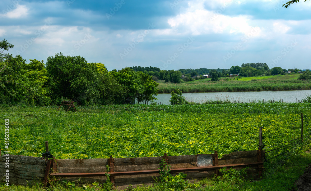  landscape with a pond and rural vegetable gardens in the South of Russia - a sunny summer day