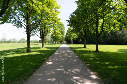 alley in the park