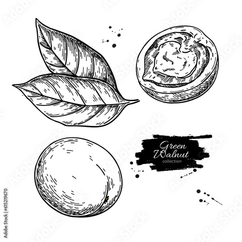 Art & Illustration