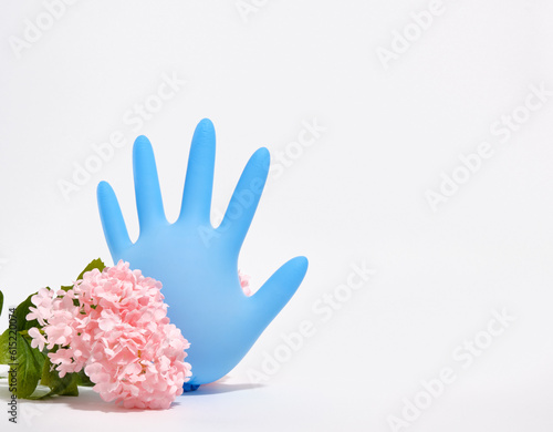 Inflated blue medical sterile glove and beautiful pink flowers isolated. Copy space for text.