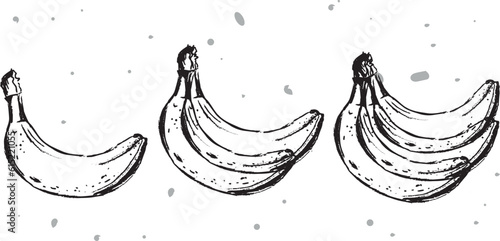 Black banana in vintage style on white background.