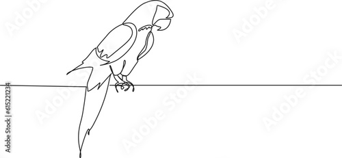 continuous single line drawing of a parrot, line art vector illustration