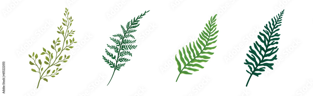 Green Fern and Frond with Stem and Leaves Vector Set