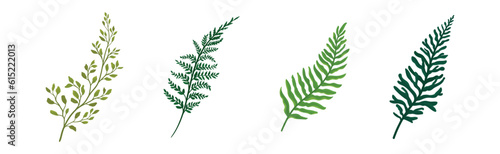 Green Fern and Frond with Stem and Leaves Vector Set