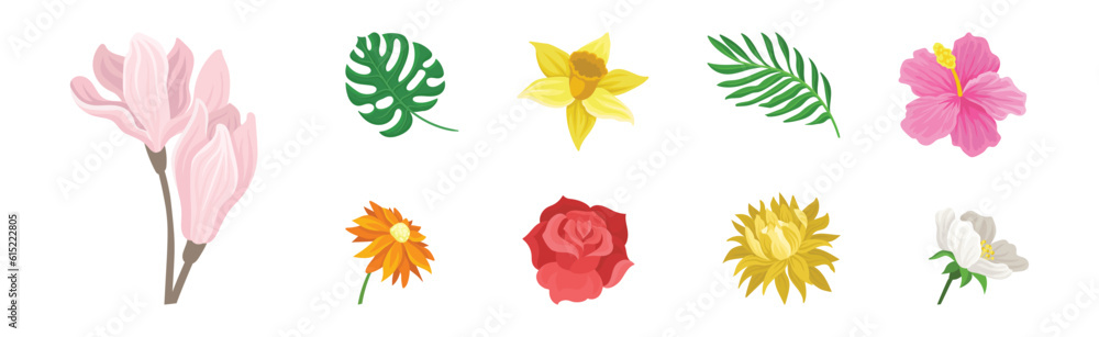 Fototapeta premium Colorful Lush Flower Buds and Exotic Leaf Vector Set