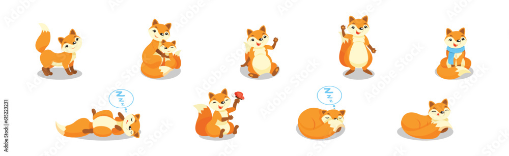 Cute Red Fox Animal with Bushy Tail in Different Pose Vector Set
