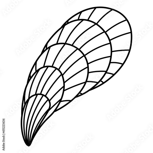 Web