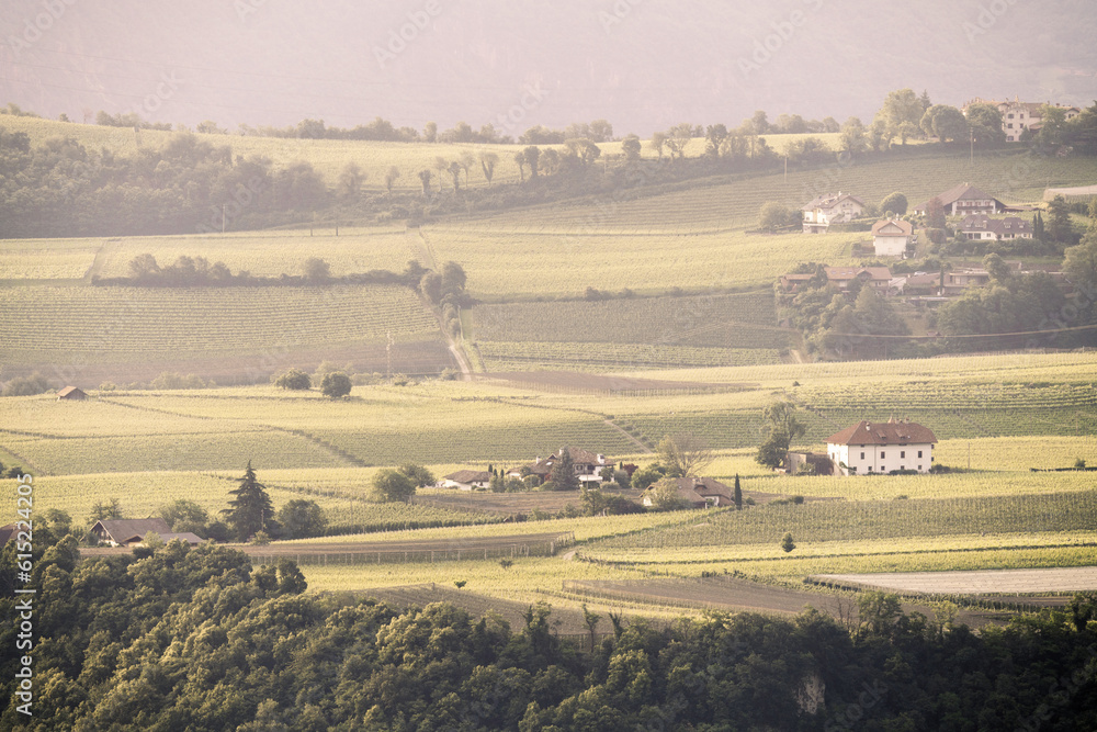 Fototapeta premium Beautiful view of Eppan/Appiano and its surroundings in South Tyrol, Italy.