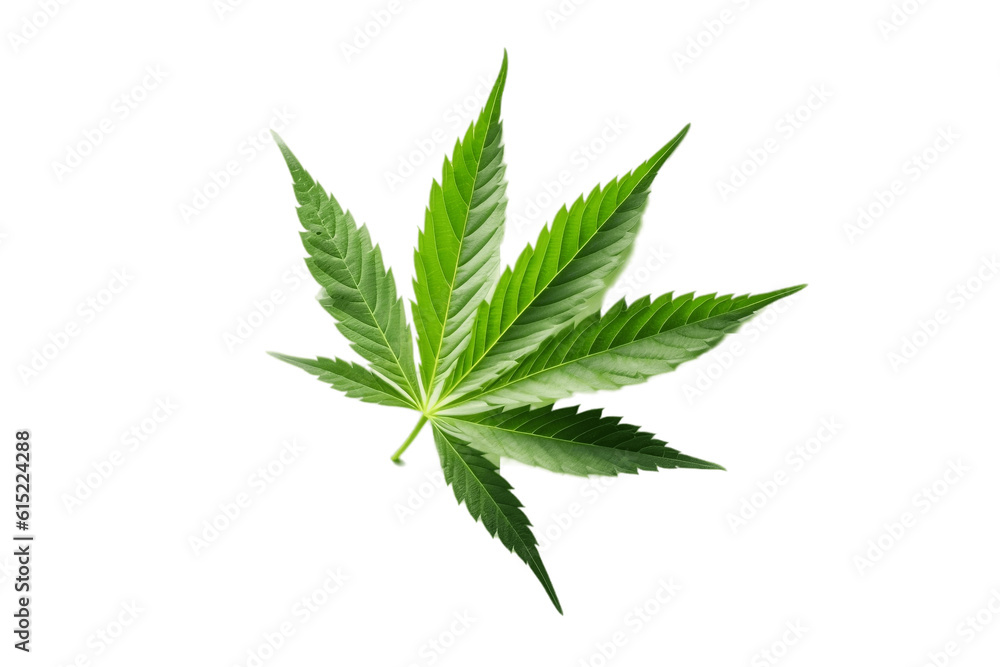 Green Cannabis Leaf on Transparent Background. AI