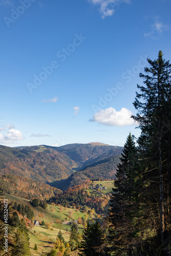 Black Forest in Autumn II