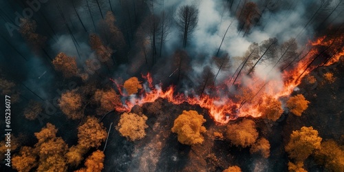 Fotomurale a forest fire photographed with a drone (Generative AI)