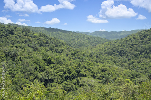 Tropical forest landscape near Cienfuegos, Cuba.