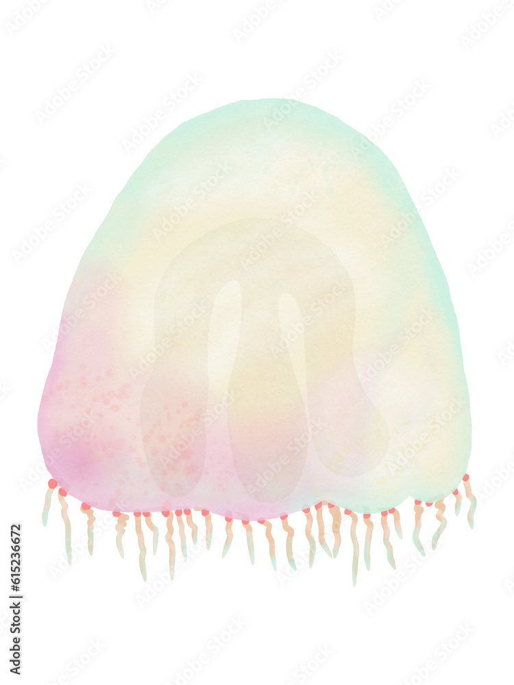 Fototapeta premium Jelly Fish water color pastel hand drawn illustration