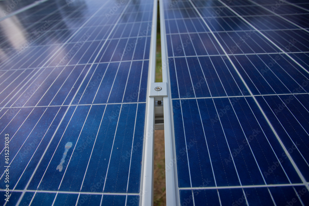 Renewable energy technology concept. Farm using solar panels used in agriculture industry as solar energy. Renewable energy technology concept. Farm using solar panels used in agriculture industry as solar energy.