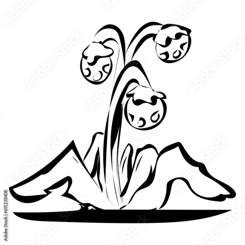 Blume
