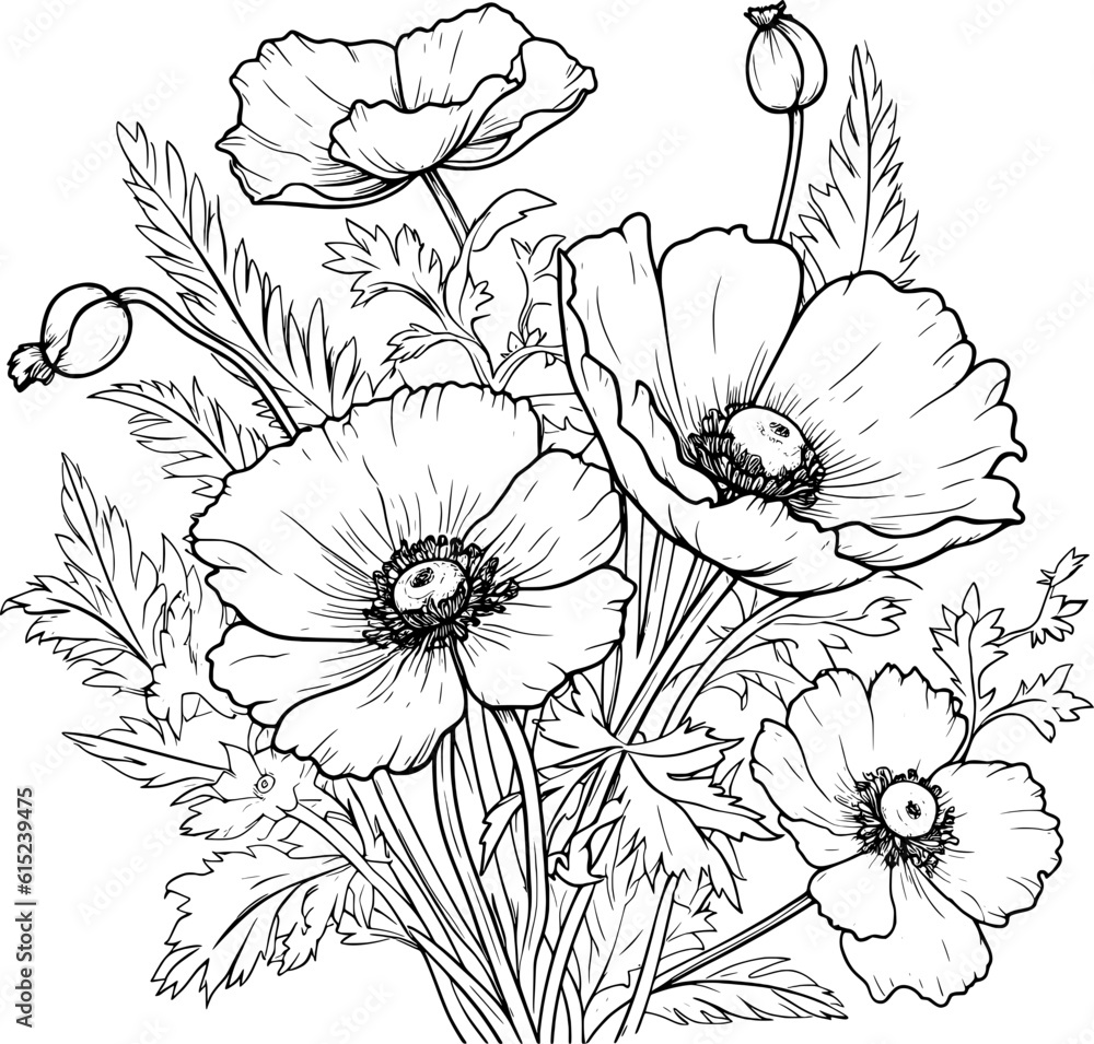 Spring Flower Line Art Spring Flower Line Art