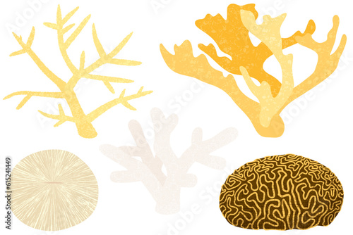 A set of different hard corals, in a cut paper style with textures. Elkhorn, Staghorn, Mushroom, Finger, Brain
 photo