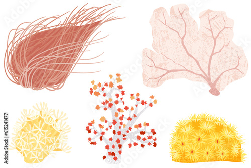 A set of different soft corals, in a cut paper style with textures. Sea whip, Sea fan, Organ pipe, Carnation, Sun coral
