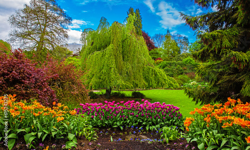 Queen Elizabeth Park Vancouver. Blossoming flower beds in  city park. Beautiful natural landscape gardening concept. Flowers and trees at the background of blue cloudy sky